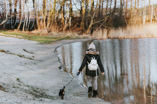 Hond en Kind: Hoe Zorgt U voor een Goede Relatie?